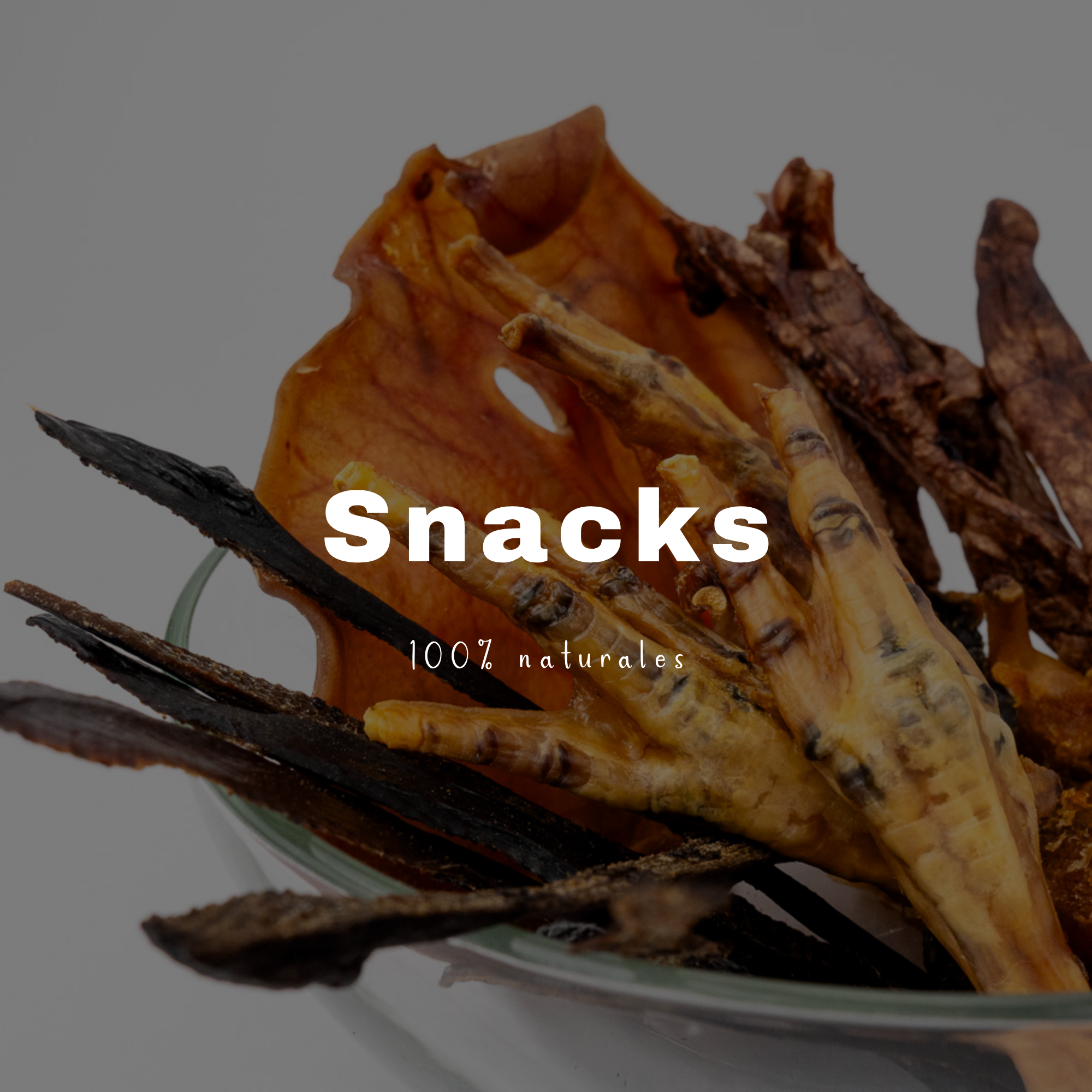 Snacks Naturales