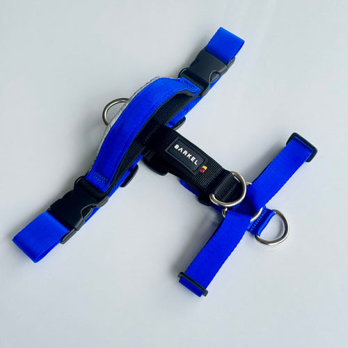 Arnés en H active pro - Azul