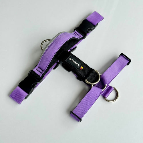 Arnés en H active pro - Lila