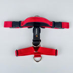 Arnés en H active pro - Rojo