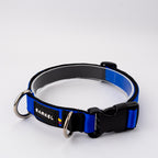 Collar Max - Azul
