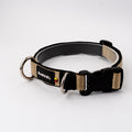 Collar Max - Beige