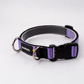 Collar Max - Lila