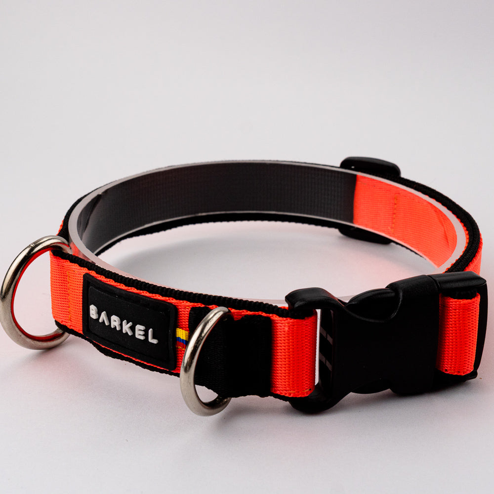 Collar Max - Naranja