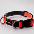 Collar Max - Naranja
