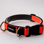 Collar Max - Naranja