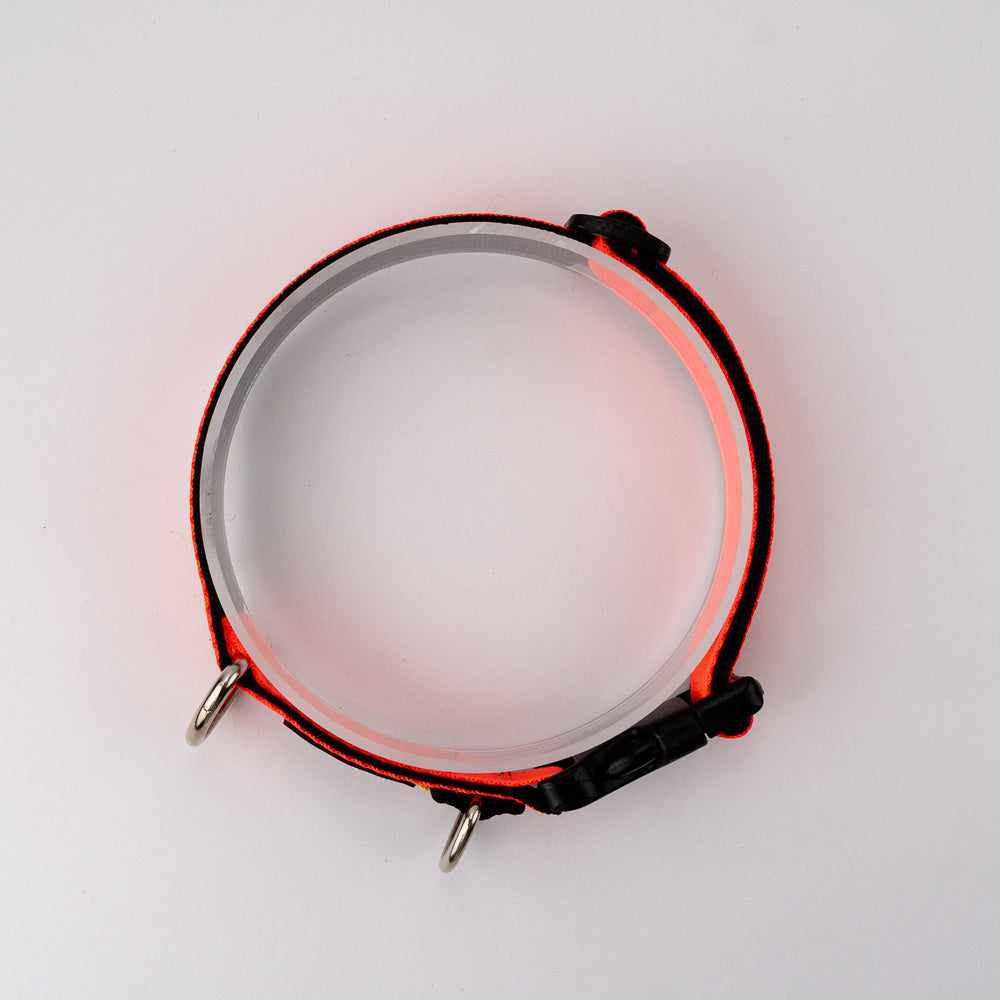 Collar Max - Naranja