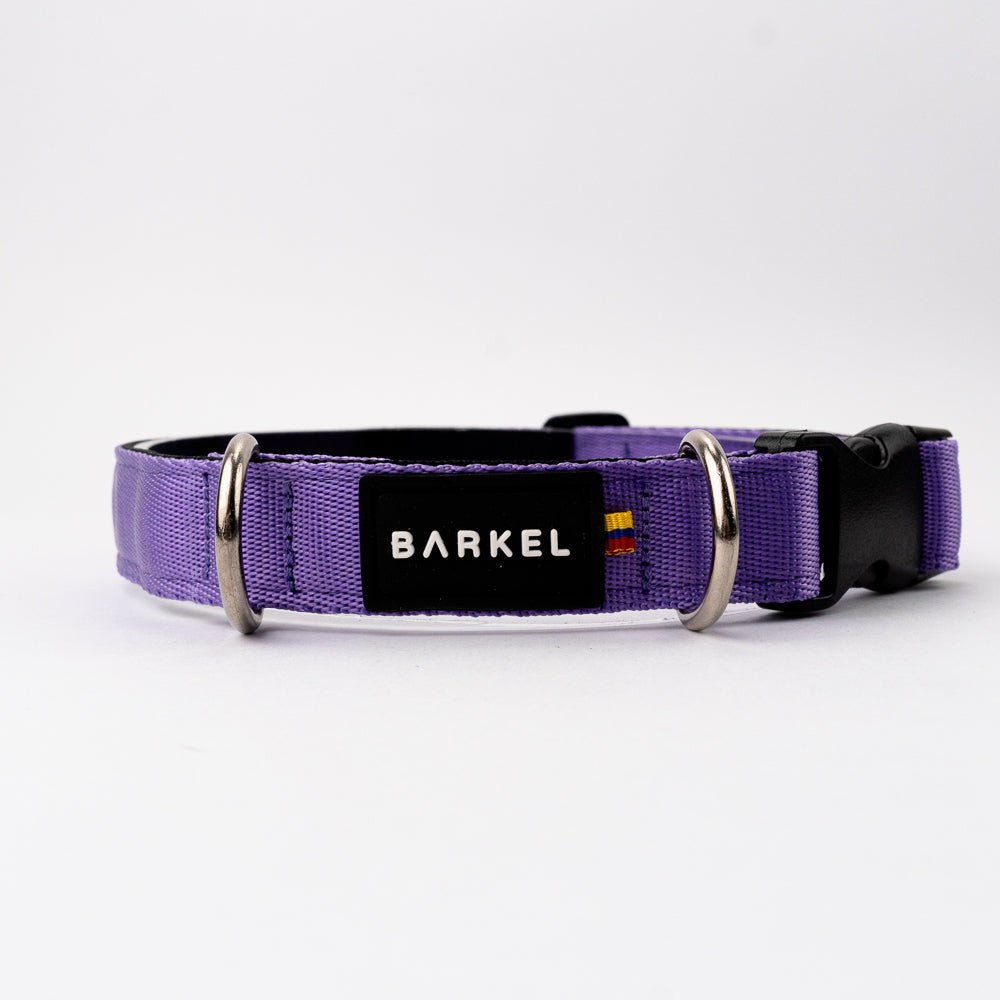 Collar Slim - Purpura