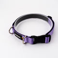 Collar Slim - Purpura