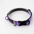 Collar Slim - Purpura