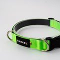 Collar Slim - Verde Flúor