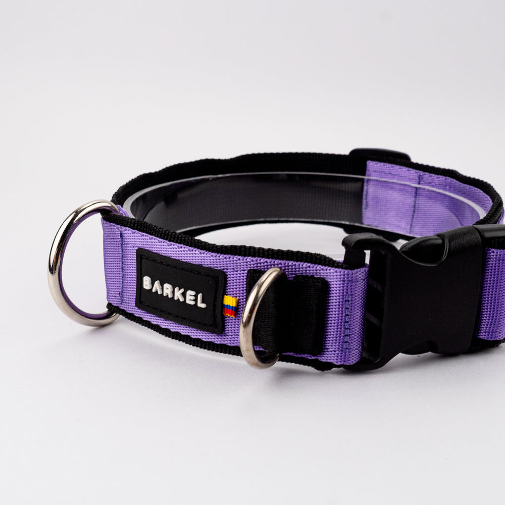Collar Jumbo - Purpura