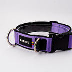 Collar Jumbo - Purpura