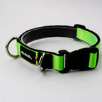 Collar Max - Verde Flúor