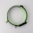 Collar Max - Verde Flúor