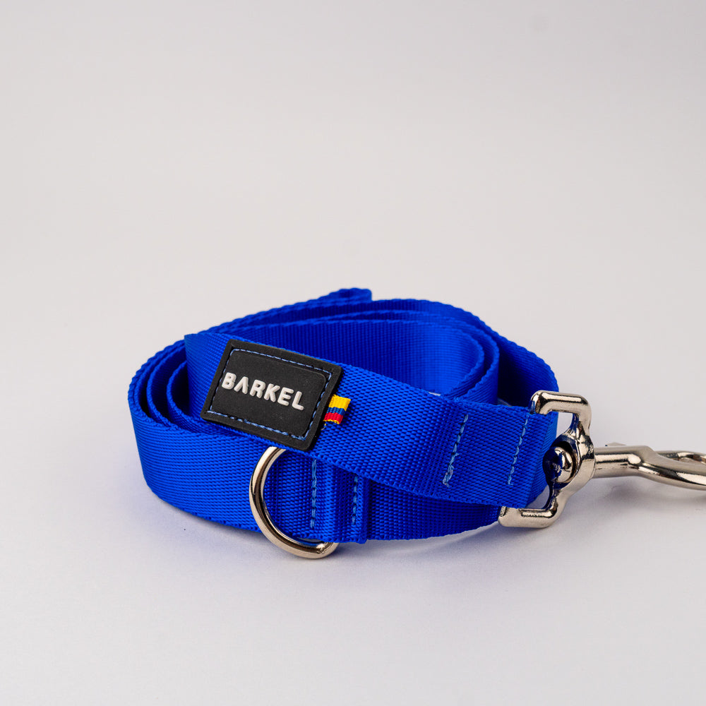 Correa de paseo - Azul